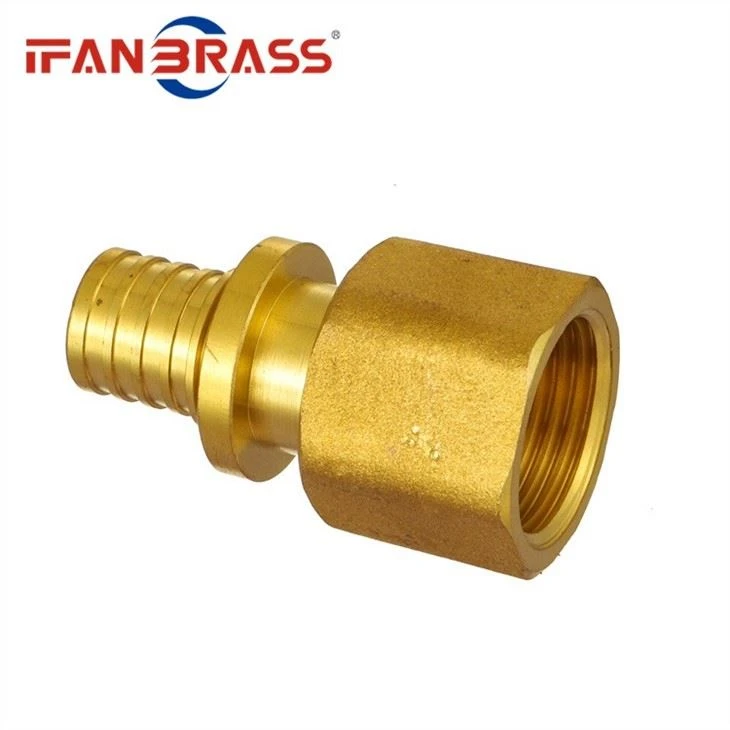 Reduce Socket brass
